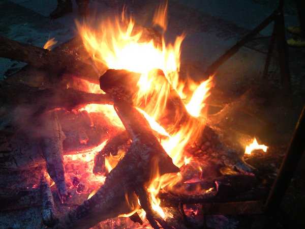 1540696269576009.jpg 1.jpg