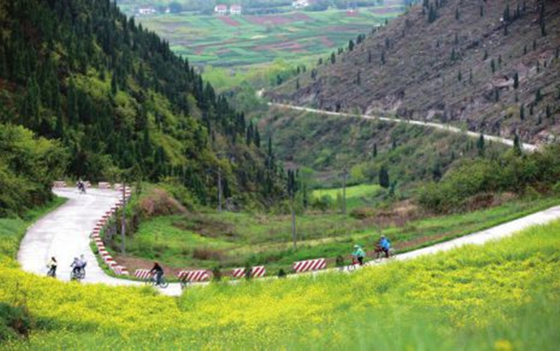 1540715450603297.jpg 2_副本.jpg