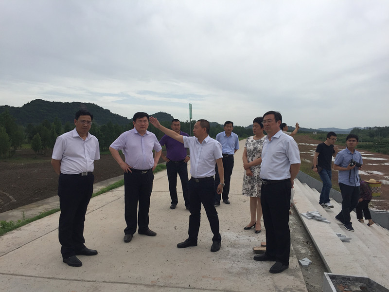 1540724020937530.jpg 456.jpg