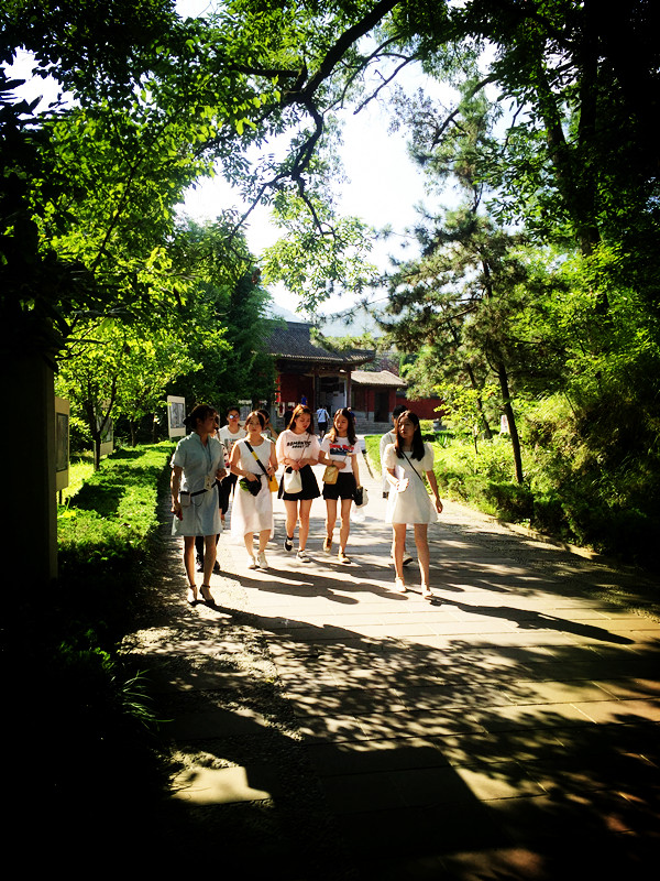 1564035924237191.jpg 1564035924237191.jpg