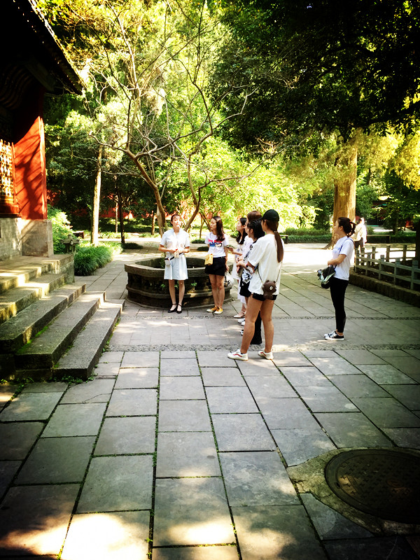 1564036160656417.jpg 1564036160656417.jpg