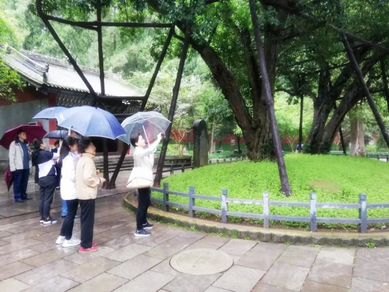 1570759054653275.jpg 1570759054653275.jpg